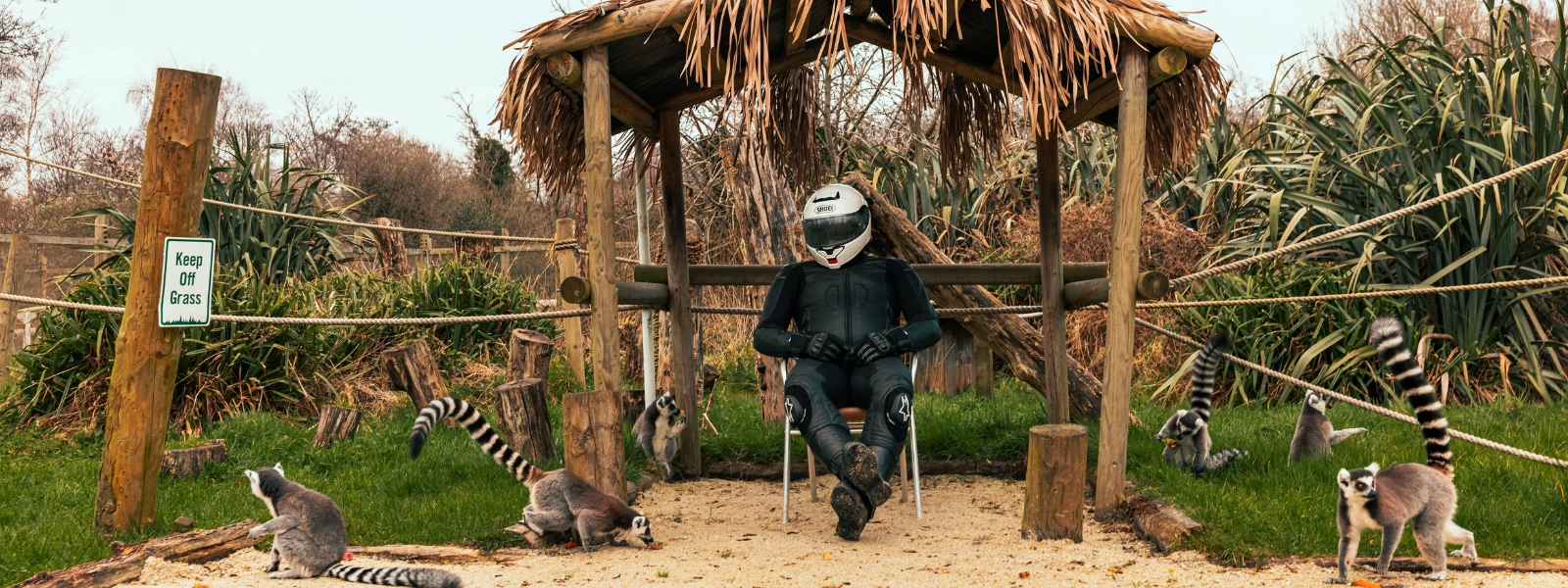 McGuinness at The Curragh's Wildlife Park